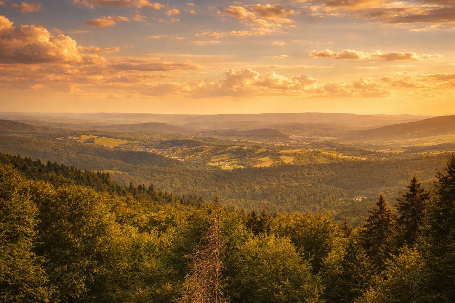 Jesienna panorama Bieszczadów o zachodzie słońca